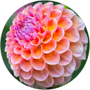 Tina Watson profile picture